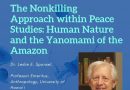 The Nonkilling Approach within Peace Studies online seminar
